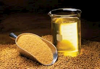  Why are soymeal prices soaring, and soyoil futures not? 