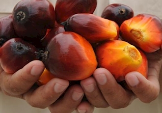 India's Palm Oil Imports Seen Climbing on Summer Season Demand