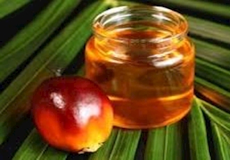 Global palm oil market growth